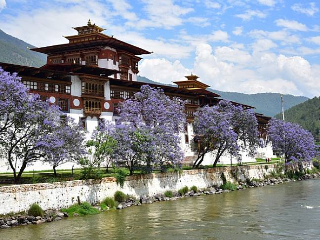 Best places to visit bhutan Punakha Dzong jacaranda 600x450