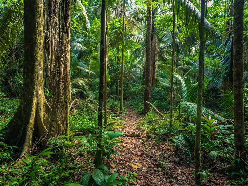 Manu Biosphere Reserve