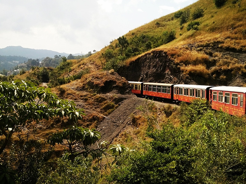 Shimla