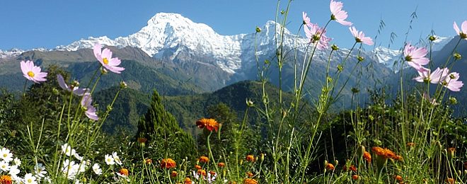 Annapurna Region, Nepal Trekking