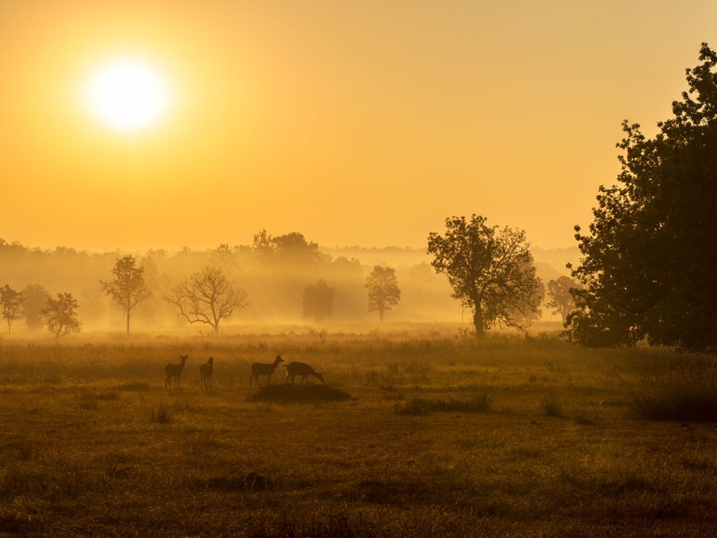 Khana National Park