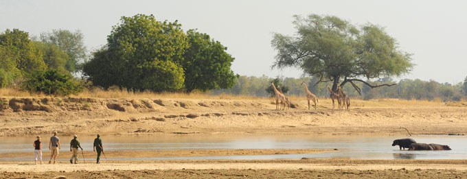 Zambia