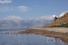 Shores of Lake Manasarovar