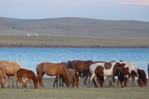 Ugii Nuur Lake