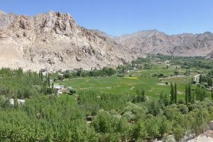 View of Indus Valley from Phyang. Image by L Bissett