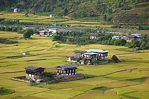 Houses in the Paro Valley