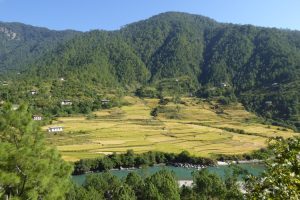 Punakha Valley