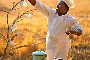 Breakfast service at Luwi Camp