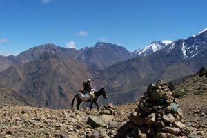 On trek in the High Atlas mountains. Image by M Jones