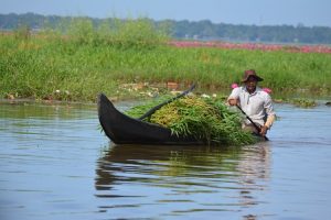 Gentle walking wildlife kerala Backwaters