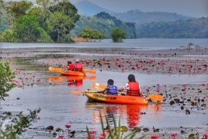 Gentle walking wildlife kerala kayaking Birds Murmur Camp