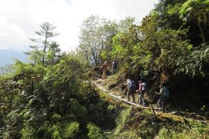 Trekking through dense forest at the start of the trek