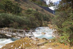 Bridge en route to Dzongri