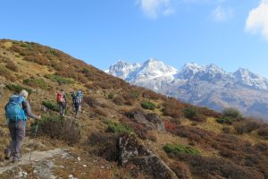 Trekking towards Thangsing