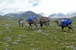 Crossing the Kharkhiraa Pass. Image by P Smith