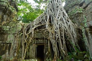 Ta Prohm, Siem Reap