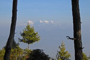 Mountain view from Haatiban framed by the trees