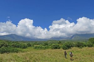 Trekking in Arusha National Park. Image by H Gray