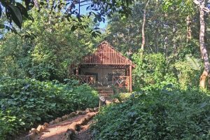 Kibale Forest Camp safari tent