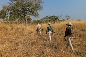 Safari walk near Luwi. Image by J Limburn-Turner