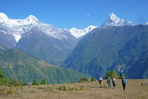 Trekking above Ghandruk. Image by C Bathgate