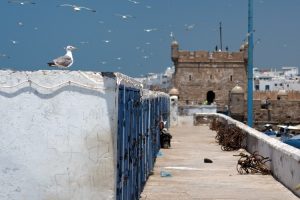 Coastal town of Essaouira, Morocco