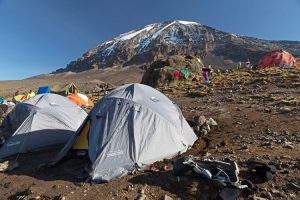 Karanga camp. Image by S Patel