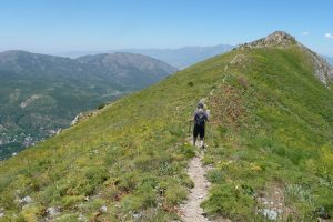 Reaching Small Chimgan Peak. Image by L Denniff