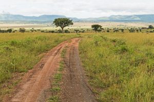 Queen Elizabeth National Park safari drive