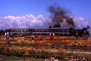 Toy Tain,Darjeeling