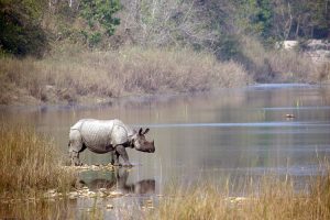 Bardia National Park