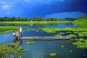 Majuli Island. Image by Kalai Sukanta@flickr