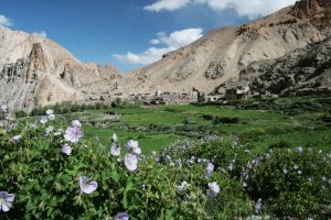 Scenery on trek from Upper Hangkar to Nimaling