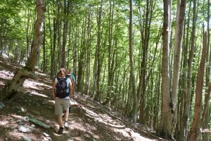 Trekking to Valbona