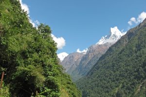 Modi Khola valley. Image by A Gallop