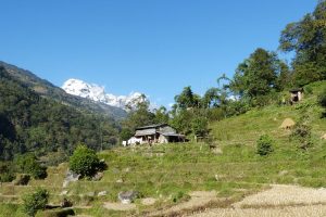 Trek to Sanctuary Lodge. Image by Mr & Mrs Hall