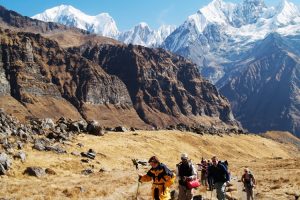 On trek Annapurna Sanctuary. Image by D Cook