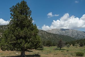 Walking the St Paul Trail, Cappadocia