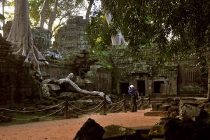 Ta Prohm, Siem Reap. Image by Mr & Mrs Hull