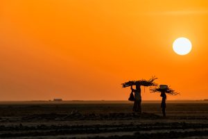 Beautiful sunset scene, Little Rann of Kutch