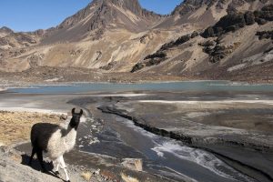 Above Condori Base Camp. Image by A Harrison