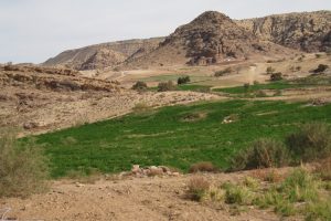 On trek, irrigated valley