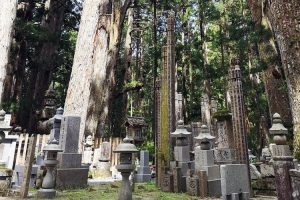 Walking through the Okuno-in Cemetery, Mount Koya. Image by H Gray