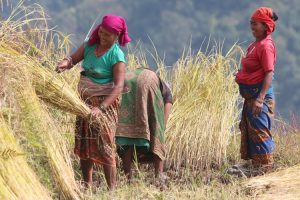 Local women in Gurung village. Image by J.Helliwell