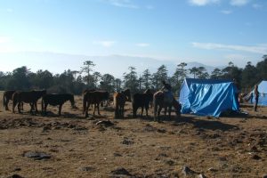 Yak herders' camp. Image by K Barlow