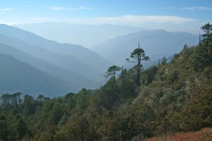 Paro Valley. Image by K Barlow