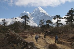 Trek to Mende. Image by K Fry