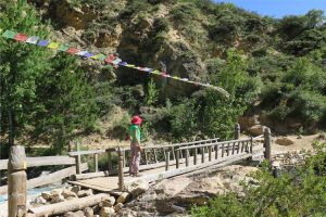 Bridge on trek towards Ringmo. Image by N Morgan