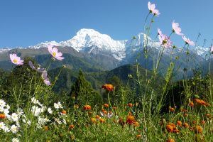 View of Dhaulagiri mountain range. Photo by J Barenblatt