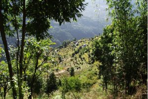 Village terraces in the Annapurna foothills. Photo by J Laslett